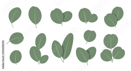 Green Eucalyptus Leaf Vector Set Minimalist Botanical Illustration
