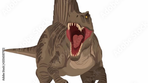 Tracking shot of spinosaurus dinosaur roaring and approaching on isolated white studio background