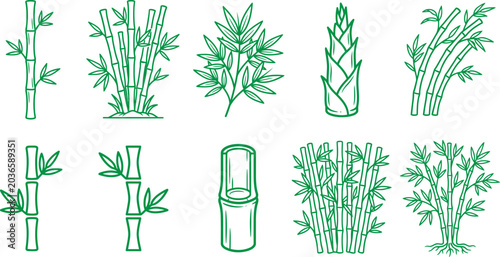 Photos Various green bamboo plants and stems in different shapes and sizes  illustratio