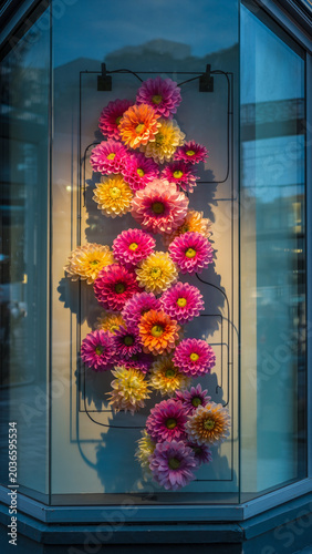A vibrant floral arrangement featuring numerous colorful dahlias displayed vertically inside a modern glass shop window against a warm light.