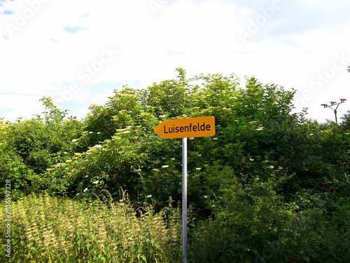 Wegweiser mit der Aufschrift Luisenfelde
