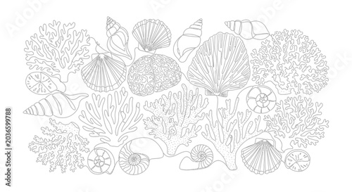 Bild auf Leinwand Hand Drawn Seashells and Coral Reef Elements Line Art Illustration