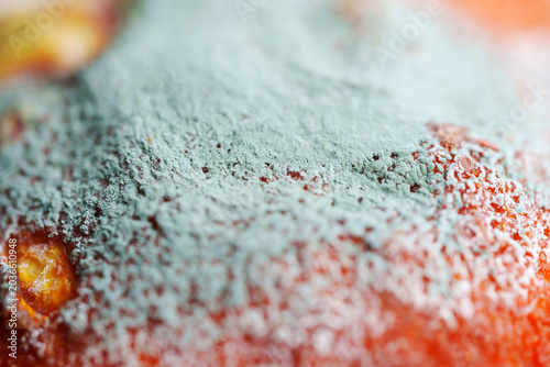 Foto Fungal decomposition process on fresh fruit skin close up