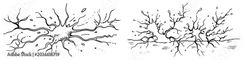Fotografie Organic abstract shapes resembling neurons or tree roots minimalist sketch style