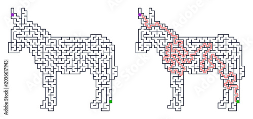 Tableau sur toile Donkey maze puzzle design with paths marked in vibrant colors