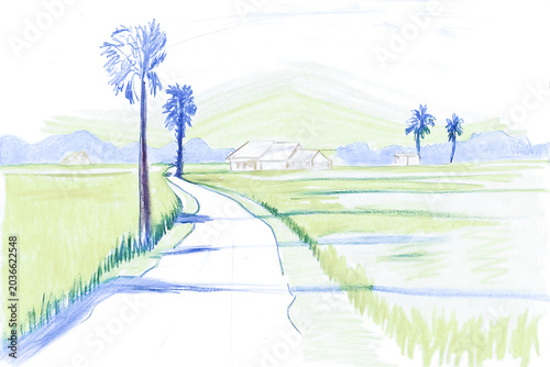 Rural landscape with road and palm trees drawn with colored pencils path vector illustration