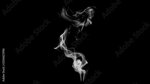 Schilderij op canvas Abstract swirling white smoke wisps rising and curling against a stark black bac