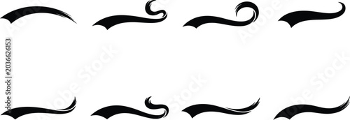 Elegant Black Hand Drawn Signature Swirls Decorating Minimalist Document Borders for minimalist design professional branding vintage aesthetics creative typography editorial graphics