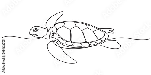 Bilde på lerret Single line drawing of a sea turtle swimming, minimalist art Vector, illustration, Sea Turtle
