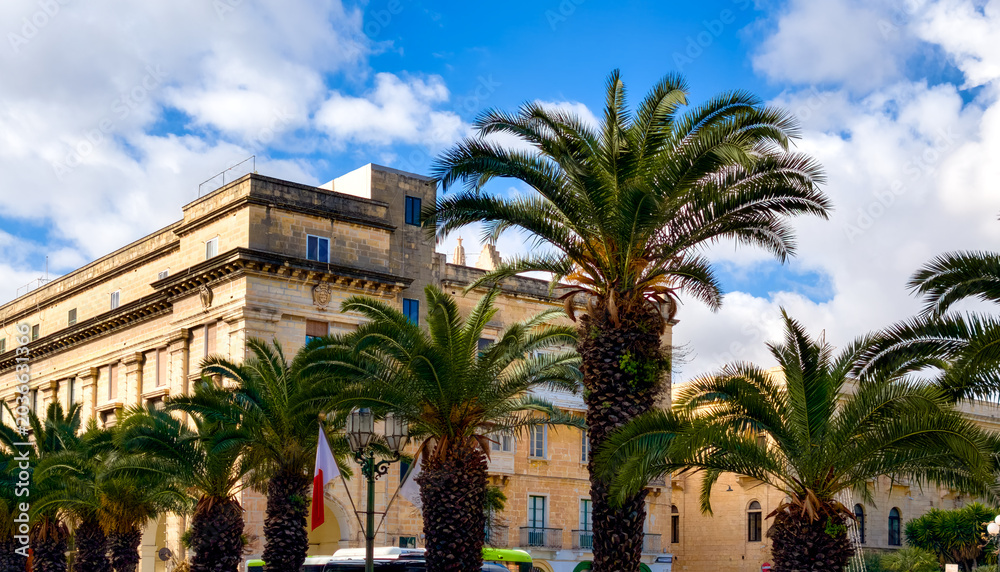 Fototapeta premium Valletta, Malta, tropical palm trees before historic architecture of the London School of Commerce in the city center