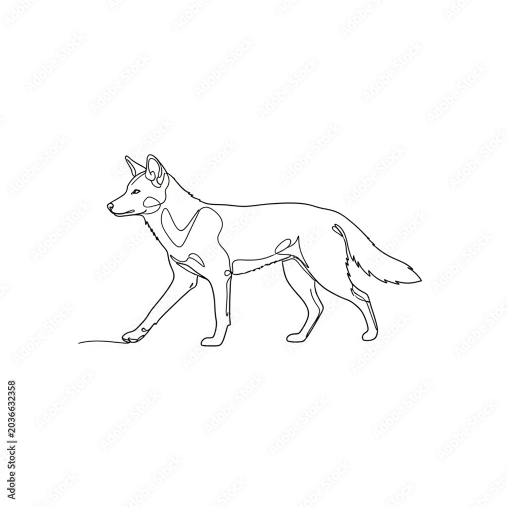 Fototapeta premium Dingo walking in simple line drawing style with minimal details