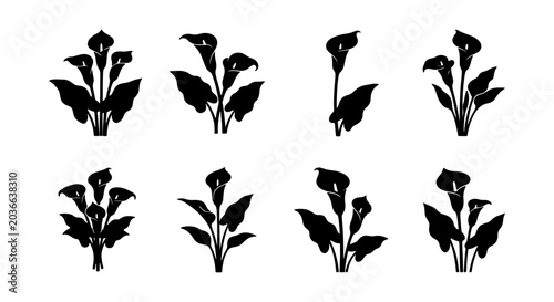 Bild auf Leinwand Elegant Calla Lily Silhouettes, Botanical Vector Art Collection, Simple Floral G