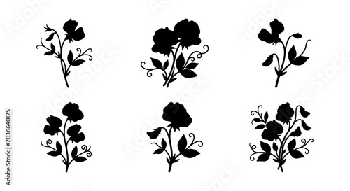 Fotografía Black Silhouette Sweet Pea Flowers, Botanical Vector Elements, Delicate Floral S