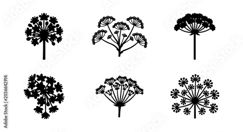 Tableau sur toile Six Black Dill Flower Umbel Vector Icons, Botanical Herb Sprigs, Decorative Plan