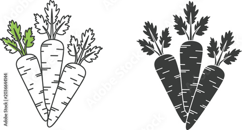 Foto Fresh carrot vector illustration set with line art outline and black solid silho