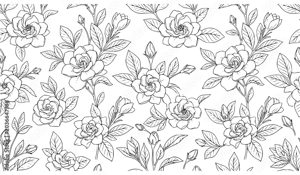 Obraz premium Hand Drawn Seamless Gardenia Flower Line Art Botanical Pattern Vector for Wallpaper and Textile Design