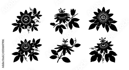 Foto Black Silhouette Passion Flower Vector Set, Exotic Botanical Illustration, Tropi