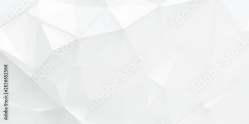 Tableau sur toile Abstract white low poly background with geometric triangle shapes, light gray crystalline texture