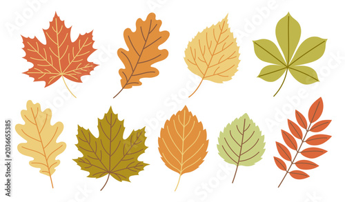 Canvastavla Autumn leaves collection with colorful fall foliage isolated on white background