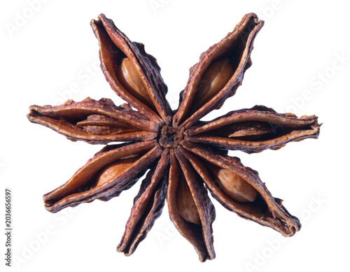 Dried brown star-shaped seed pod isolated on white background with natural texture