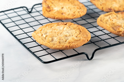 Close up of homemade golden brown cookies placed on a baking cooling grid with soft lighting and professional depth of field