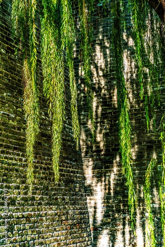 Green Willows Shadows Ancient City Wall Park Beijing China
