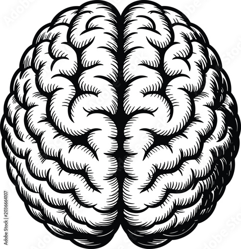 Highly detailed black and white woodcut illustration of a human brain representing wisdom and power on a white background.