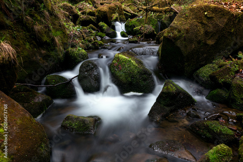 Waterfall on the mountain Carpathian river among mossy boulders, fast flow, crystal water. water flowing between mossy rocks. nature background with river through forest. pristine carpathian ecosystem