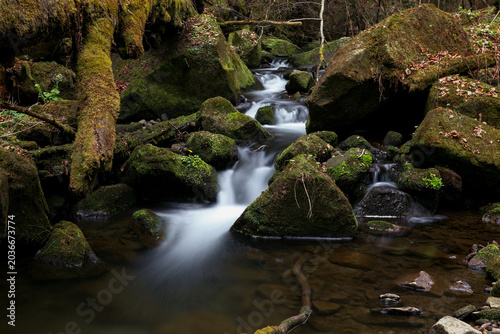Waterfall on the mountain Carpathian river among mossy boulders, fast flow, crystal water. water flowing between mossy rocks. nature background with river through forest. pristine carpathian ecosystem