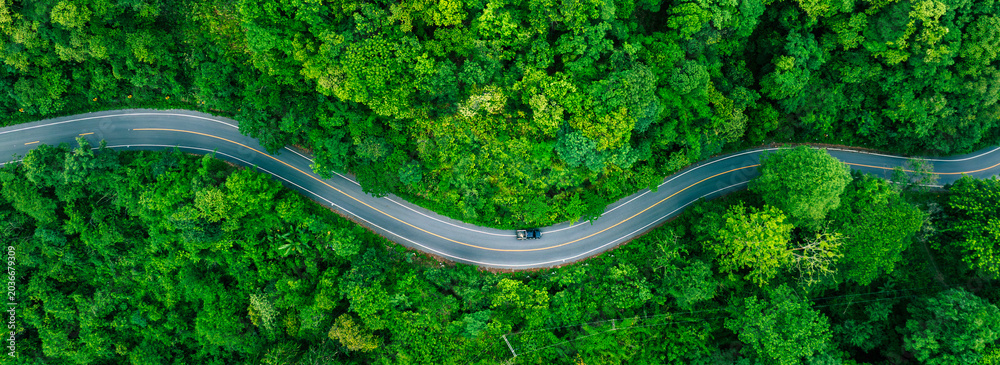 Obraz premium Green tropical forest with winding road and cars driving through nature. Strong visual metaphor for clean mobility, sustainable transport and future oriented economic growth.