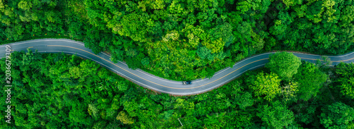Green tropical forest with winding road and cars driving through nature. Strong visual metaphor for clean mobility, sustainable transport and future oriented economic growth.