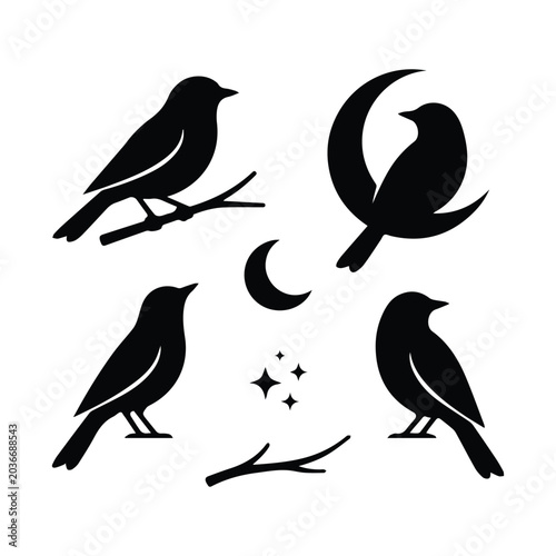 Photography Evening bird silhouettes with crescent moon and stars