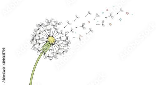 Foto Dandelion Flower Seeds Blowing Away.