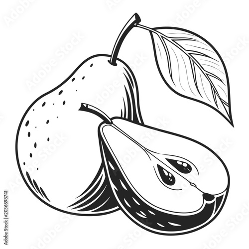 asian pear silhouette on white background