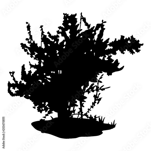 Black bush silhouette showing garden shrub, plant and nature elements. Dark foliage shadow object for botanical landscape layout, outdoor environment and backyard design.