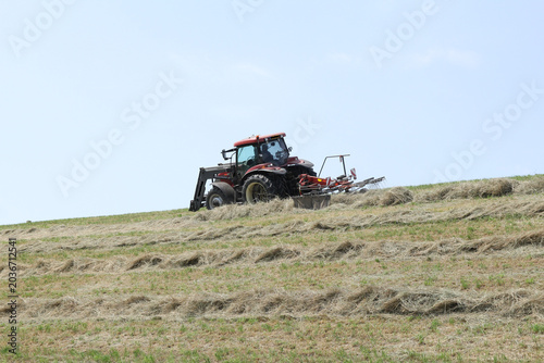 a farmer is tedding hay at rows at a steep dike with a tractor with a tedder closeup in springtime