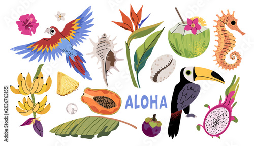Photography Set of vector jungle stickers in cartoon retro style