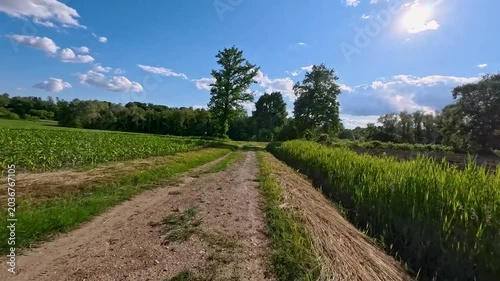 In the woods and on the bike path. A bike ride through the Friulian hills.