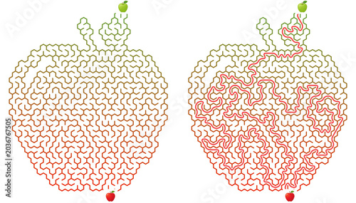 Apple shaped hexagonal maze puzzle set with solution. Fruit masked honeycomb labyrinth on transparent background. Educational worksheet page with red path.