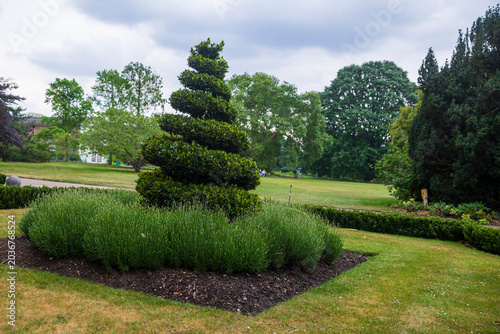 Spiraled topiary bush in a neatly manicured green lawn of a public park.