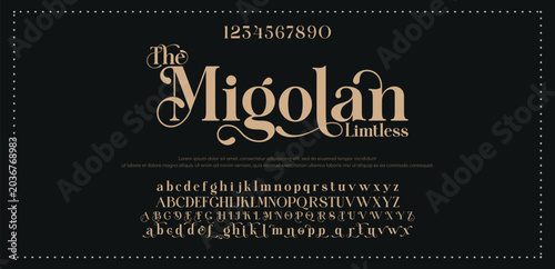 Εκτύπωση καμβά Elegant luxury alphabet font logo
