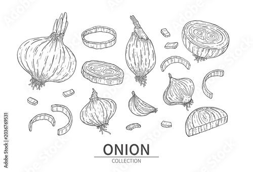 Tableau sur toile Set of onions rings and slices
