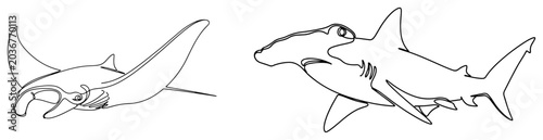 Foto Continuous one line drawing of a manta ray and hammerhead shark swimming underwa