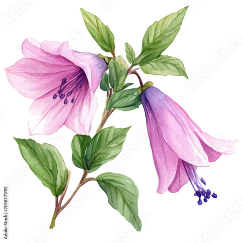 Foto Columnea Flower, whimsical watercolor vector illustration with vibrant highlights and delicate strokes, isolated on a white background