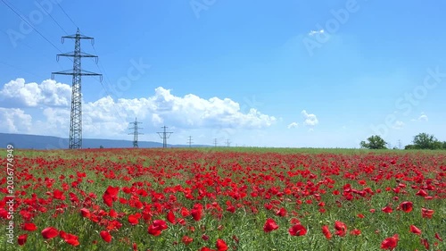 Beautiful vibrant red poppy field with power lines and electricity pylons under a cloudy sky
