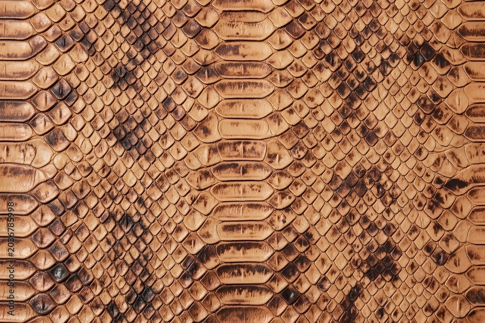 Obraz premium Python skin scale pattern