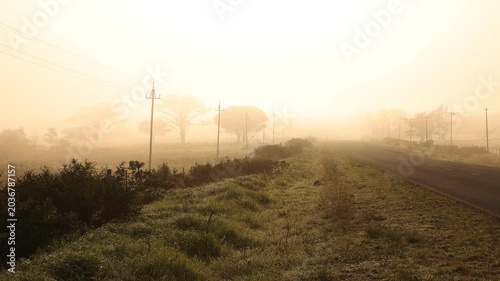 fog settling on highway at sunrise, Stanford, South Africa