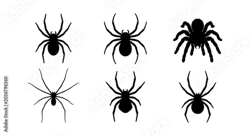 Bild auf Leinwand Set of spider silhouettes, collection of black arachnid icons, vector illustrati