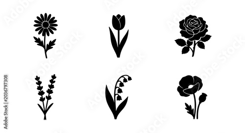 Foto Black and white illustrations of six different flowers daisy, tulip, rose, laven