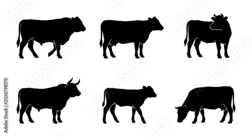 Obraz na plátně Set of black silhouettes of cows and bulls